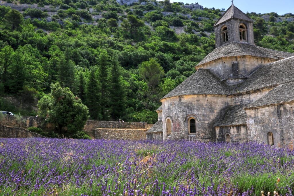 Scenic view of Sénanque Abbey surrounded by lush lavender fields and greenery in Provence.